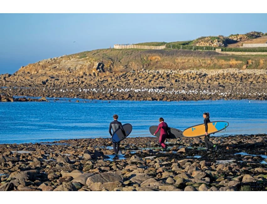 Meteor 7'0" 16 Meteor 7'0" – Image 14